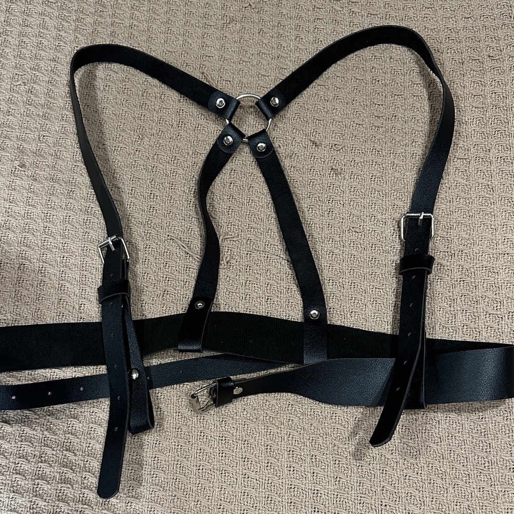 Black Leather Harness